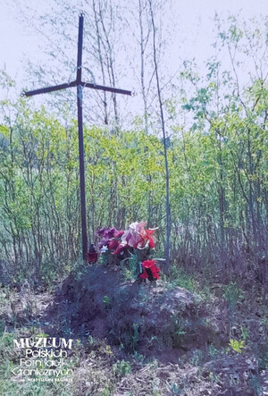 1. Tytuł tematu: mogiła żołnierza 
2. Opis obrazu: mogiła poległego nieznanego polskiego żołnierza ze strażnicy Korpusu Ochrony Pogranicza „Karolin” (przed renowacją), Anoszki, Białoruś
3. Data wydarzenia: przed 2021 r.
4. Osoby widoczne: brak
5. Hasła przedmiotowe: miejsca pamięci 
6. Opis techniczny: oryginał, kolor
7. Autor: brak danych
8. Miejsce przechowywania/właściciel: Marek Gierasimiuk