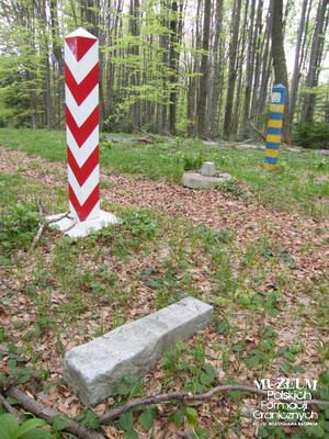 Usunięty w 2007 r. przedwojenny kamień graniczny nr X-9-2, będący centrem współczesnego znaku granicznego nr 200. Fot. B. Tomaszewski