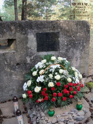1. Tytuł tematu: tablica pamiątkowa
2. Opis obrazu: tablica umieszczona na ruinach schronu bojowego na  „Łysej Górze” w miejscowości Tynne (Ukraina). Zawiera tekst w języku  polskim i ukraińskim: „W hołdzie żołnierzom Korpusu Ochrony Pogranicza  poległym we wrześniu 1939 r. Harcerki i Harcerze Harcerstwa Polskiego  na Ukrainie ZHR”
3. Data wydarzenia: 17.09.2011 r.
4. Osoby widoczne: nie ma 
5. Hasła przedmiotowe: miejsca pamięci
6. Opis techniczny: oryginał, kolorowe
7. Autor: Edward Milewski
8. Miejsce przechowywania/właściciel: Edward Milewski