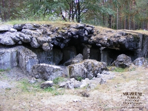 1. Tytuł tematu: ruiny schronu bojowego 
2. Opis obrazu: ruiny schronu na „Łysej Górze”, w miejscowości Tynne  (Ukraina), w którym bronili się żołnierze Korpusu Ochrony Pogranicza  we wrześniu 1939 r.
3. Data wydarzenia: 17.09.2011 r.
4. Osoby widoczne: nie ma
5. Hasła przedmiotowe: miejsca pamięci
6. Opis techniczny: oryginał, kolorowe
7. Autor: Jan Nikołajuk
8. Miejsce przechowywania/właściciel: Jan Nikołajuk