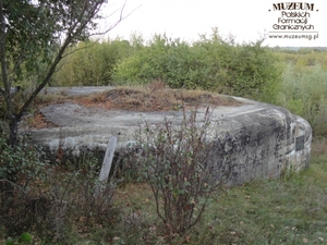 1. Tytuł tematu: schron bojowy
2. Opis obrazu: schron w miejscowości Tynne (Ukraina), umiejscowiony obok  cerkwi. We wrześniu 1939 r. bronili się w nim żołnierze  Korpusu Ochrony Pogranicza 
3. Data wydarzenia: 17.09.2011 r.
4. Osoby widoczne: nie ma
5. Hasła przedmiotowe: miejsca pamięci
6. Opis techniczny: oryginał, kolorowe
7. Autor: Jan Nikołajuk
8. Miejsce przechowywania/właściciel: Jan Nikołajuk